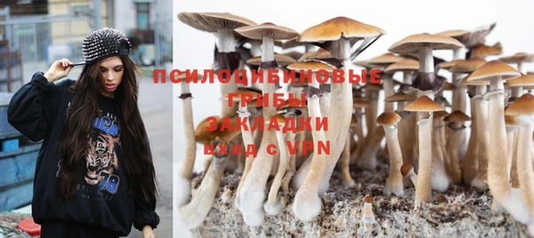 спайс Горняк